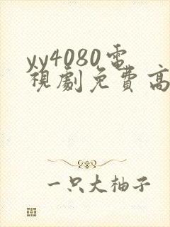 yy4080电视剧免费高清在线