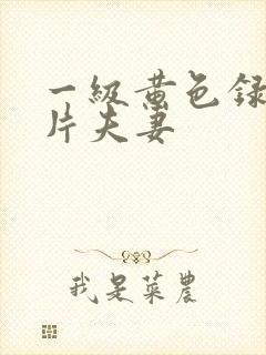 一级黄色录像影片夫妻