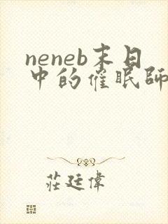 neneb末日中的催眠师小说全文免费阅读封面