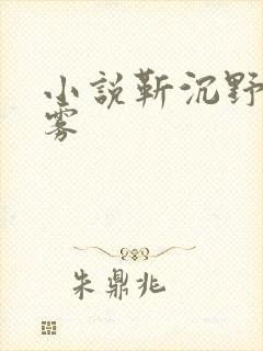 小说靳沉野唐栖雾
