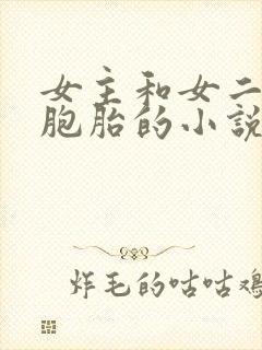 女主和女二是双胞胎的小说