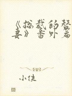 《总裁的替身前妻》番外篇