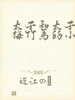 太子和太子妃青梅竹马的小说