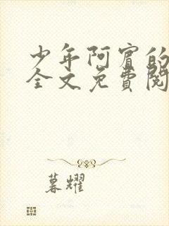 少年阿宾的故事全文免费阅读