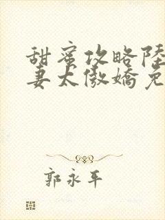 甜蜜攻略陆总前妻太傲娇免费观看电视剧全集