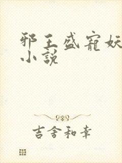 邪王盛宠妖孽妃小说