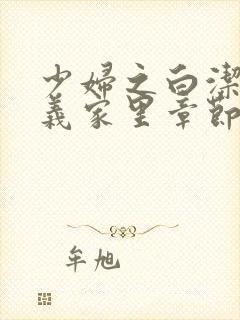 少妇之白洁去高义家里章节