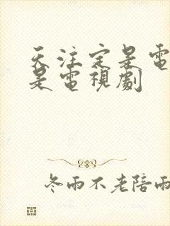 天注定是电影还是电视剧封面