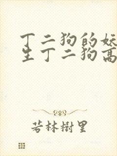 丁二狗的妖孽人生丁二狗高欣雅李丽娇封面