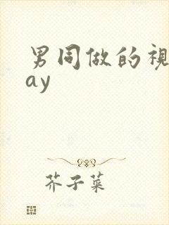 男同做的视频gay封面