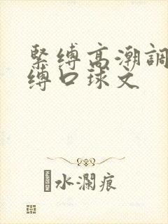 紧缚高潮调教束缚口球文封面