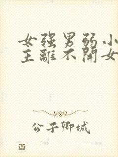 女强男弱小说男主离不开女主封面