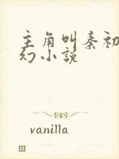 主角叫秦初的玄幻小说