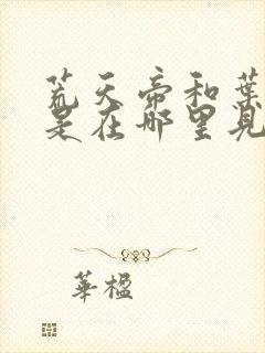 荒天帝和叶天帝是在哪里见面的