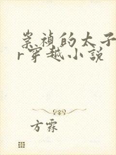 崇祯的太子朱慈r穿越小说封面