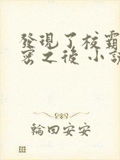 发现了校霸的秘密之后 小说