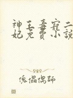 神王毒宠二嫁王妃免费小说