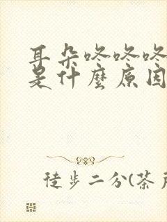 耳朵咚咚咚的响是什么原因