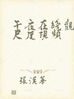 午夜在线观看大尺度视频封面