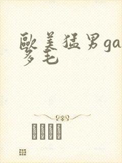 欧美猛男gay多毛封面