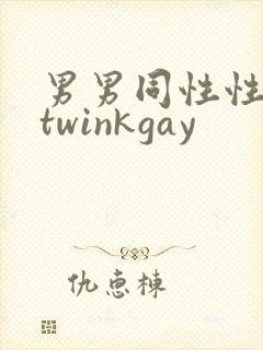 男男同性性行为twinkgay
