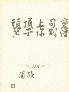 头顶上司变后妈儿子你别懵