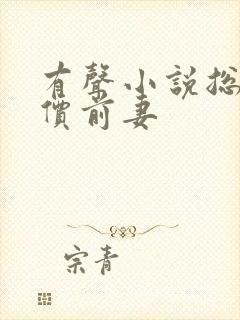 有声小说总裁天价前妻