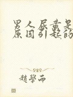 男人尿黄是什么原因引起的当