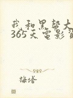 我和黑帮大佬的365天电影资源
