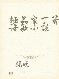 极品家丁萧夫人洛敏小说