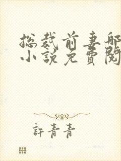 总裁前妻哪里逃小说免费阅读在线