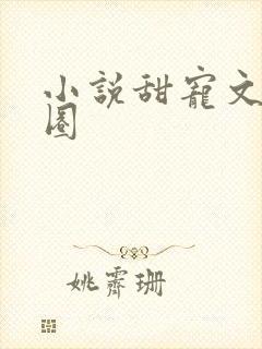 小说甜宠文娱乐圈封面