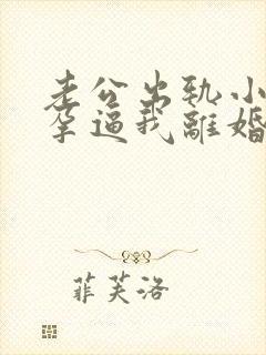 老公出轨小三怀孕逼我离婚封面