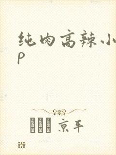 纯肉高辣小说np