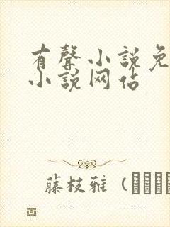 有声小说免费听小说网站