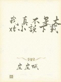 我真不是大佬txt小说下载