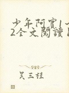 少年阿宾1～72全文阅读目录封面