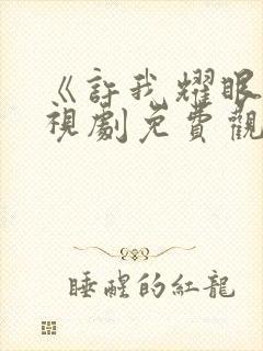 《许我耀眼》电视剧免费观看全集封面