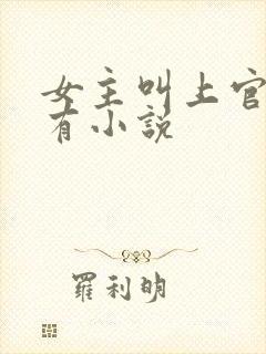 女主叫上官的所有小说