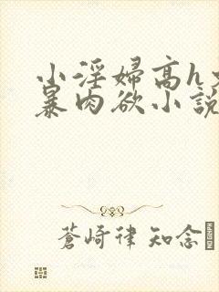 小淫妇高h文黄暴肉欲小说