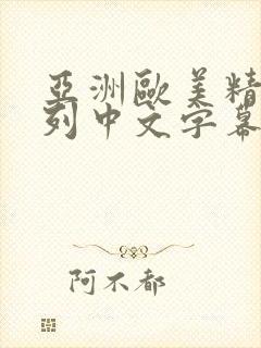 亚洲欧美精品系列中文字幕