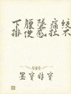 下腹坠痛绞痛有排便感拉不出封面