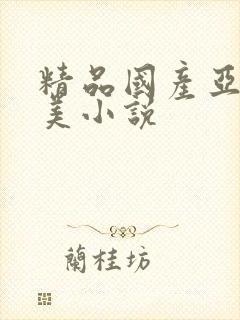 精品国产亚洲欧美小说