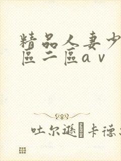 精品人妻少妇一区二区aⅴ