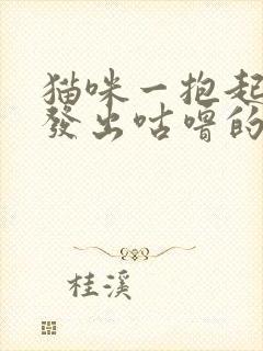 猫咪一抱起来就发出咕噜的声音封面