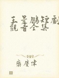 王晨鹏短剧免费观看全集