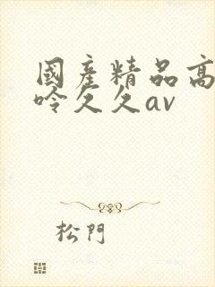 国产精品高潮呻呤久久av