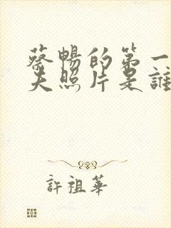 蔡畅的第一任丈夫照片是谁封面