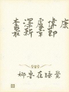 李泽卢伟康小说最新章节