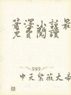 萧泽小说最新版免费阅读封面